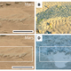 Illustration for article titled This Curiosity Image Suggests Microbial Life Once Existed On Mars